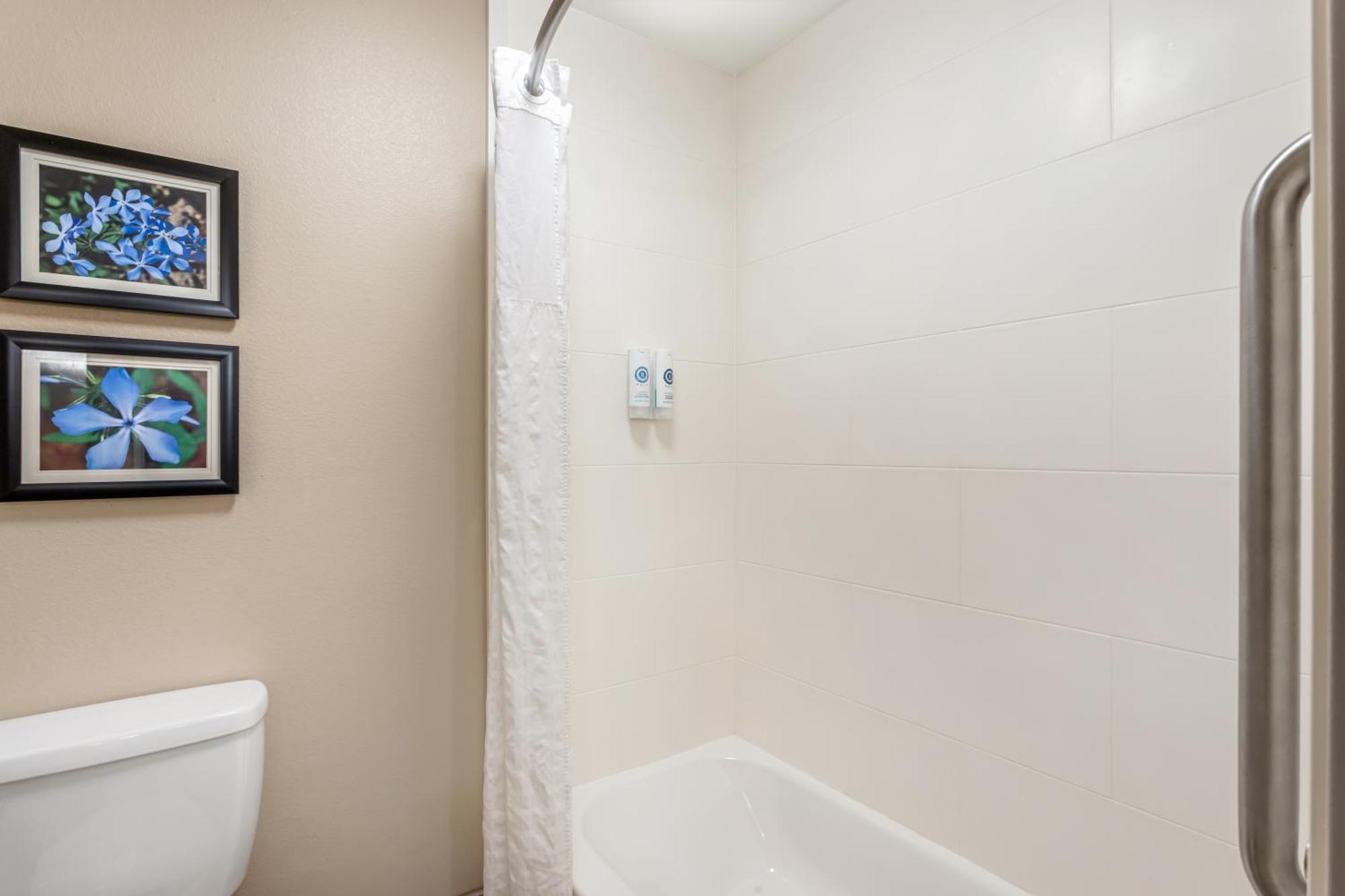 Comfort Inn & Suites Conway Zewnętrze zdjęcie