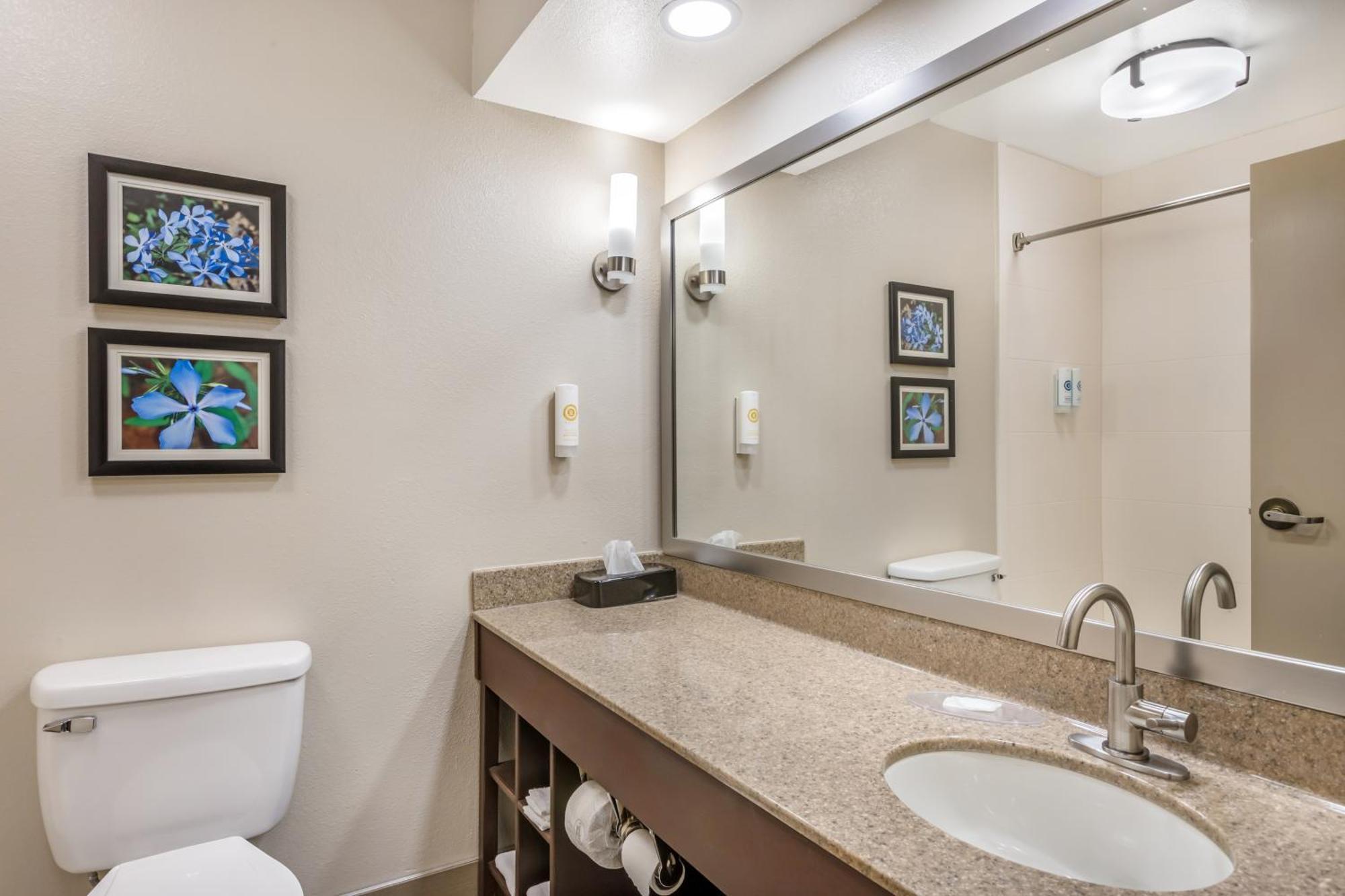 Comfort Inn & Suites Conway Zewnętrze zdjęcie